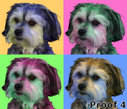 Custom Lowchen art portrait