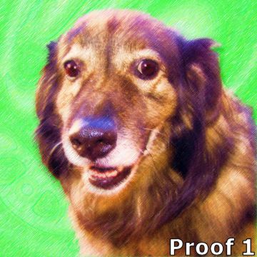 Pop art dog custom pet portrait