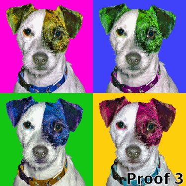 pop art dog portrait Jack Russell