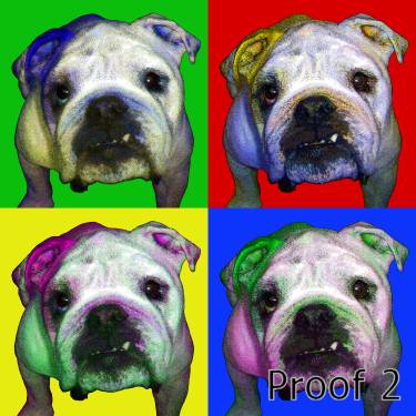 English Bulldog Custom Art Portrait