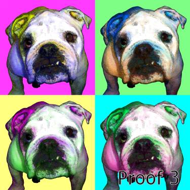 English Bulldog Art Portraits and gifts