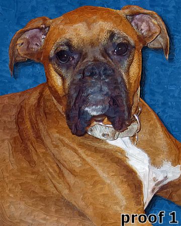 Boxer art