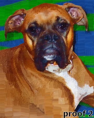 Boxer traditional art
