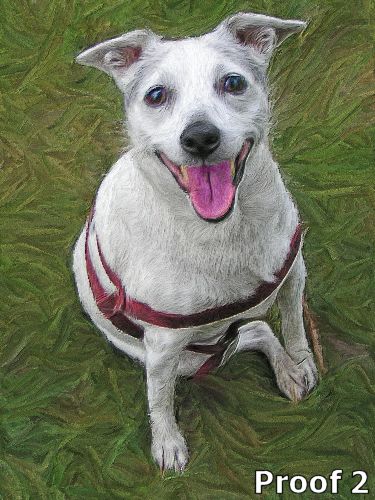 pop art pet portrait Rat Terrier