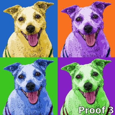 pop art dog portrait Rat
