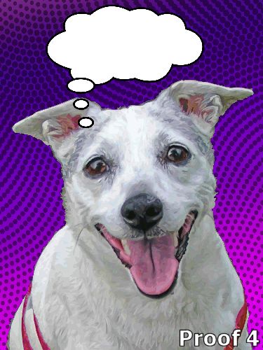  breed specific pet Rat