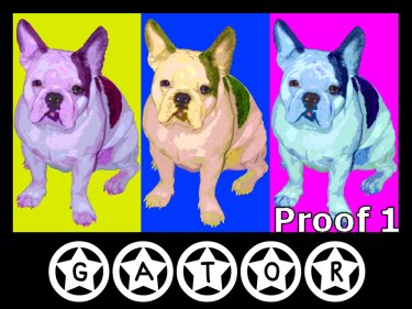Warhol Style Boston Terrier art