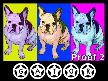 Boston Terrier Warhol Style portraits