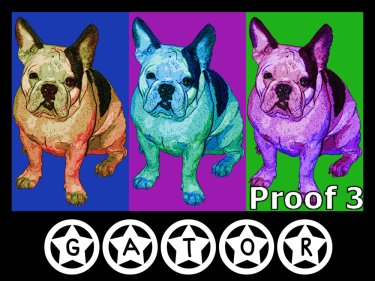 Boston Terrier Custom pop art portrait