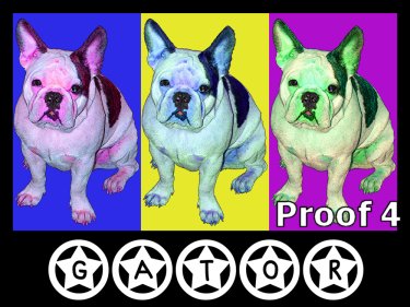 Custom Boston Terrier Gifts and art Portraits