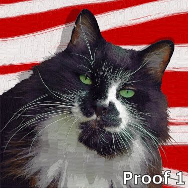 fun cat pop art