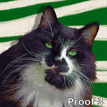custom cat pop art portraits and gifts