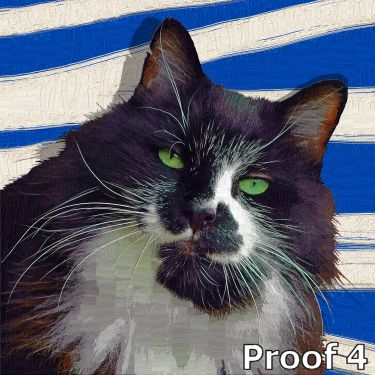 kitty pop art portraits and gifts