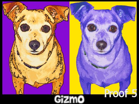 Chihuahua pop art portrait warhol style dyptych