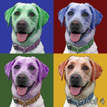Custom Pop Art Labrador gifts and portraits