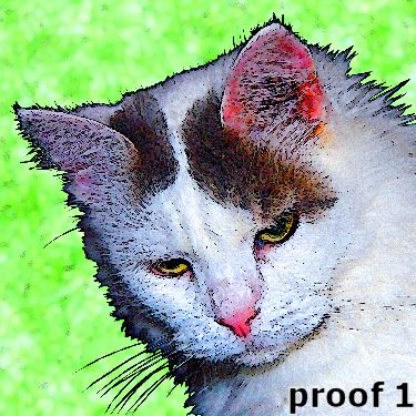 pop art pet portrait cat gifts