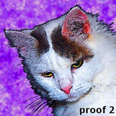pop art pet portrait cat