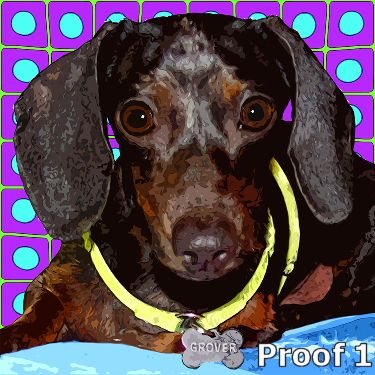 pop art pet Dachshund portrait