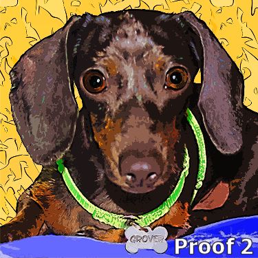 Dachshund pet portrait