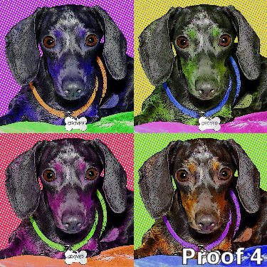 Dachshund breed specific pet portrait
