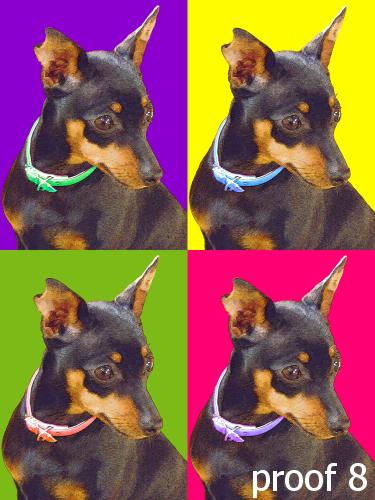custom dog portrait Miniature Pinscher