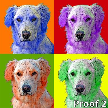 Golden Retriever pop art portraits