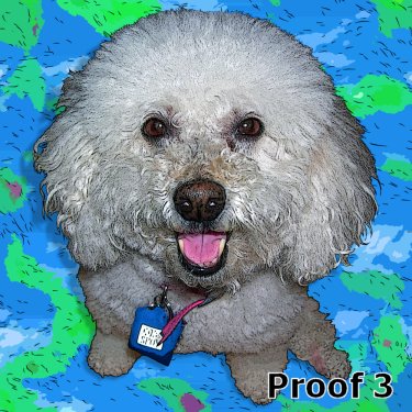 Custom dog art Warhol inspired portraits and gifts