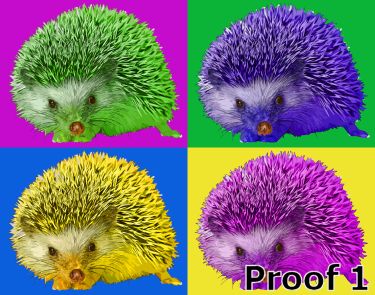 pop art hedgehog gifts