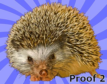 Custom comissioned hedgehog portrait
