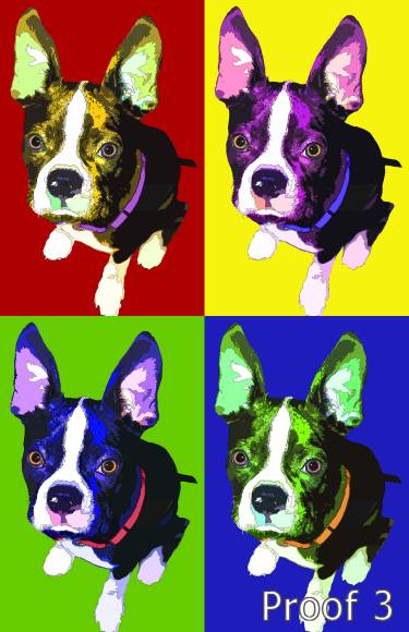 Custom Boston Terrier pop art portrait
