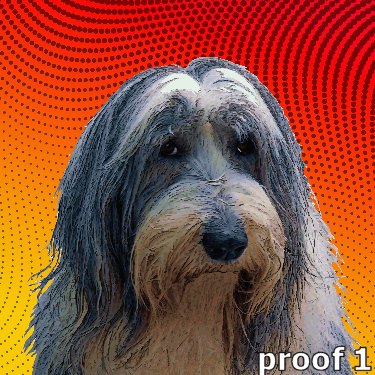 Bearded Collie gifts and portraits