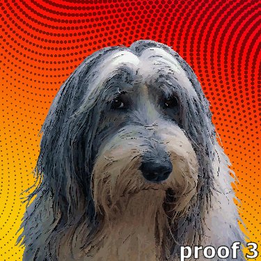 Bearded Collie pop art