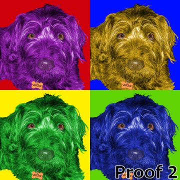 Custom dog portraits and gifts