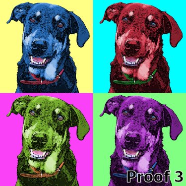 dog portraits and art