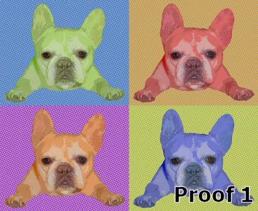 French Bulldog portraits 