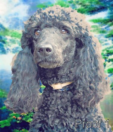 Poodle pop art