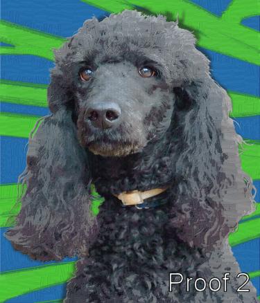 Poodle cool art portrait 