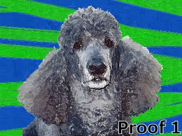Poodle art