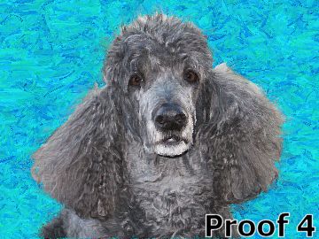 Custom Poodle art portrait