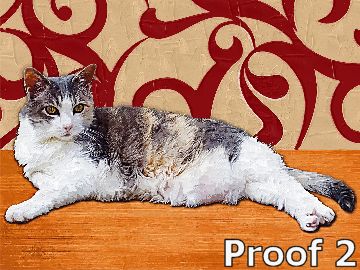 cat art