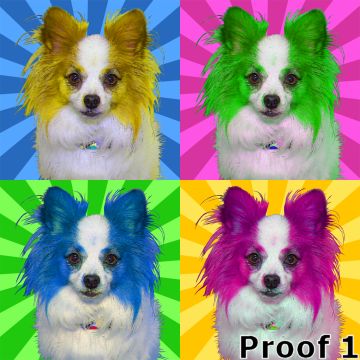 Warhol inspired Papillon portaits