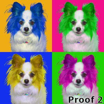 Warhol style Papillon art