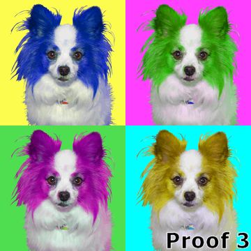 Warhol custom Papillon art portrait