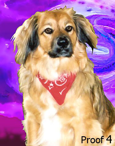 Dog portraits and gifts