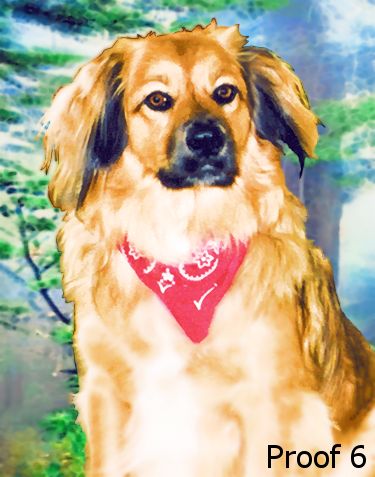 custom dog portrait