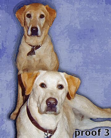 Yellow Labrador Retriever Art Portraits