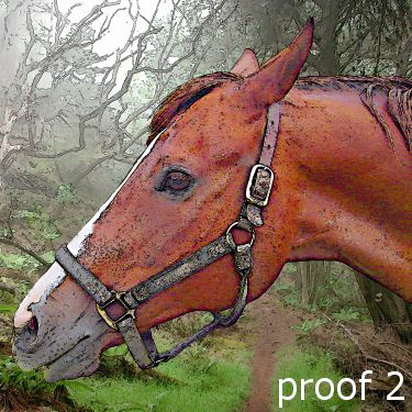 pop art pet portrait horse
