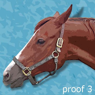custom horse portrait and gifts