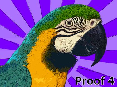  Breed Specific Pet Portrait Macaw