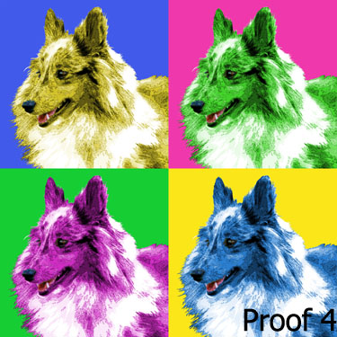 Sheltie Gifts and Portraits